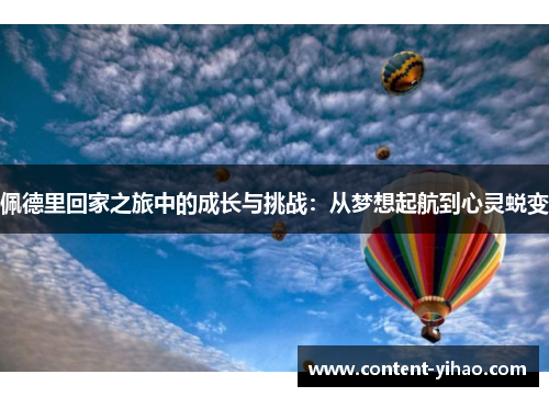 佩德里回家之旅中的成长与挑战：从梦想起航到心灵蜕变