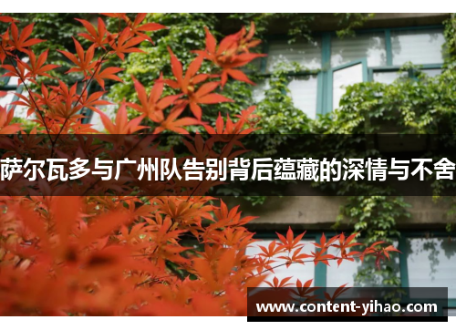 萨尔瓦多与广州队告别背后蕴藏的深情与不舍
