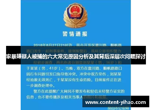 家暴嫌疑人被捕的六大常见原因分析及其背后深层次问题探讨